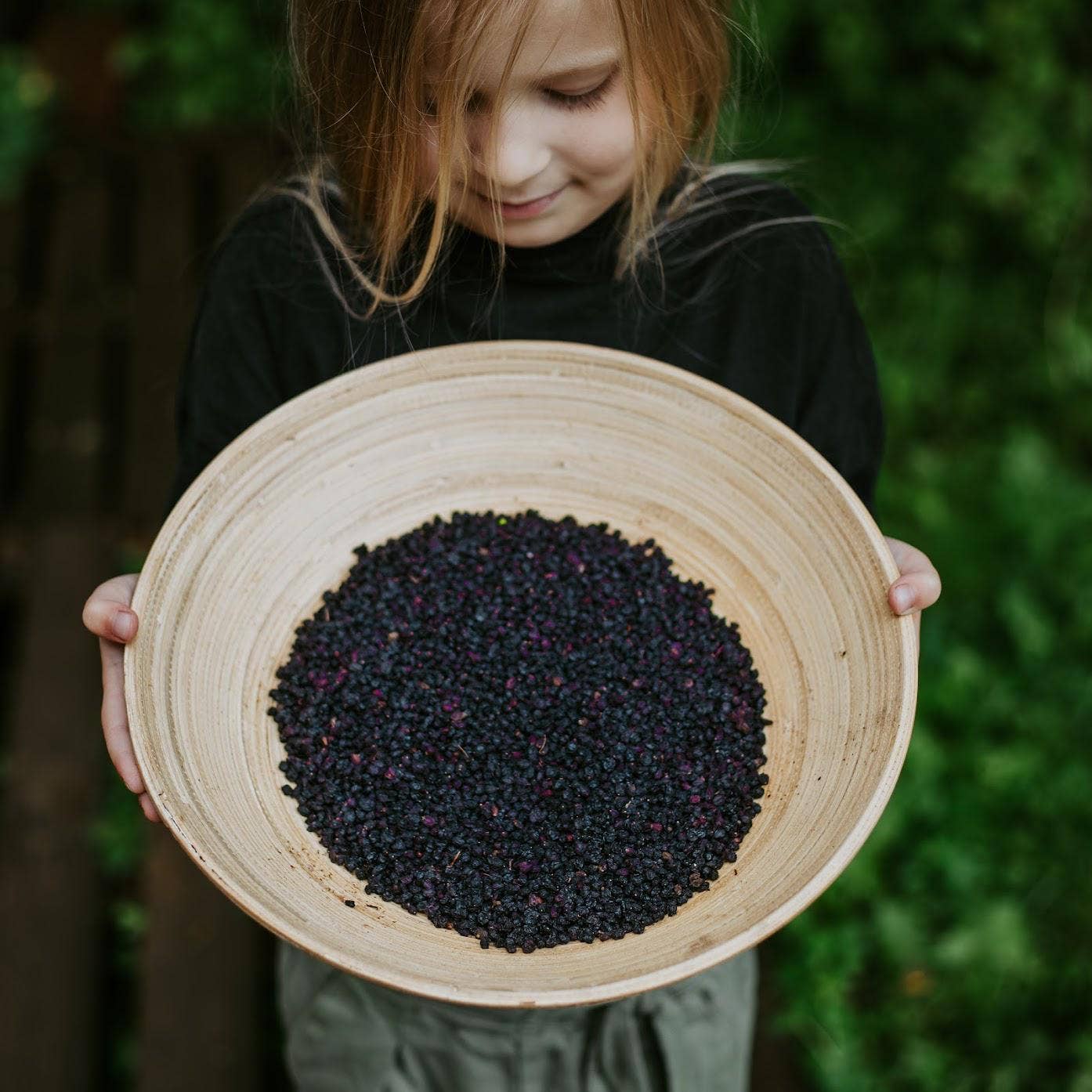 Zhivana Organics - Elderberry Dried Organic (Sambucus Nigra) - 10 LB