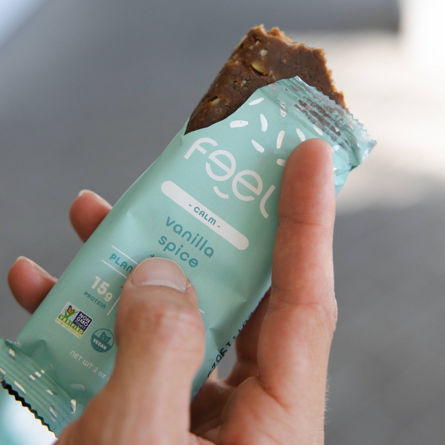 The Feel Bar - Vanilla Spice - 10 Count