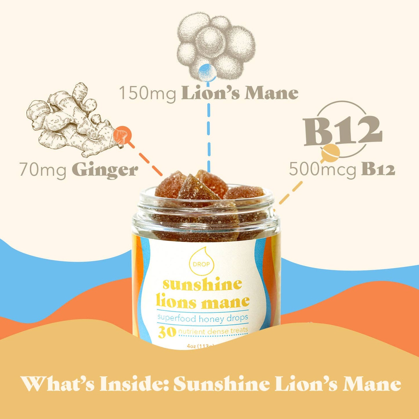 Honey Drops - Sunshine Lion's Mane | Mushroom Honey Gummy | Energy & Focus