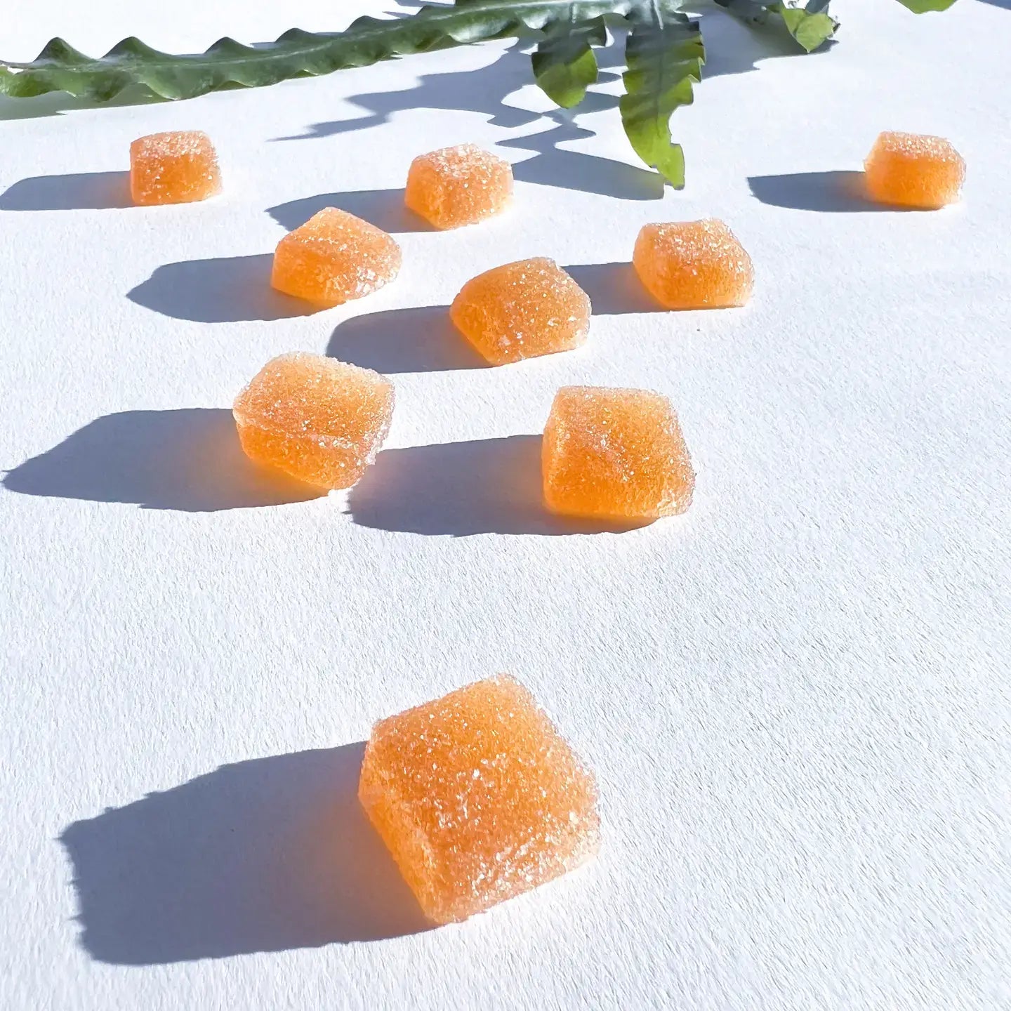 Microjoy - Concentrate Mushroom Gummies (5) / Vegan Supplement / Focus