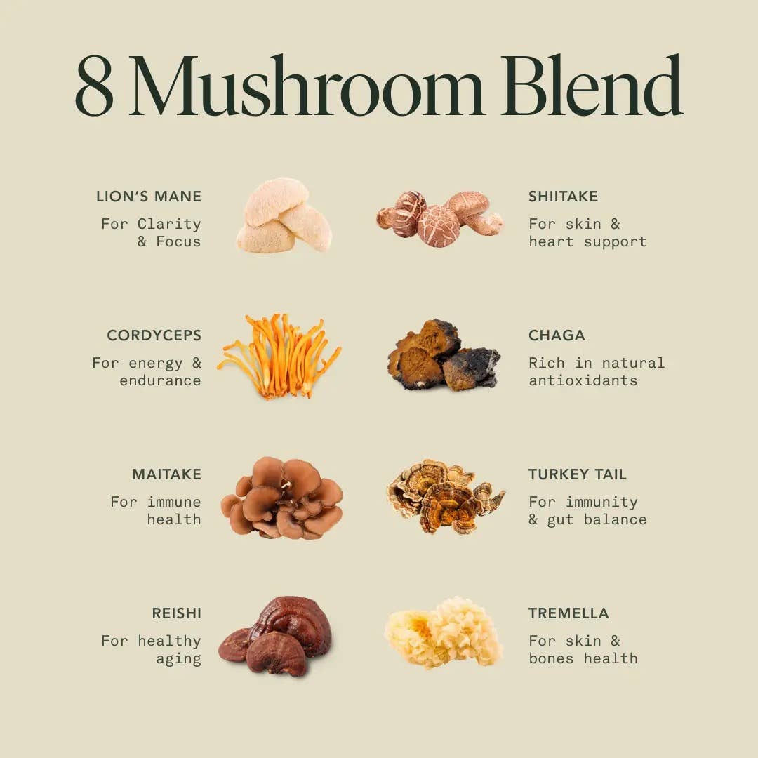 Fantastic Fungi - Organic Gratitude Elixir for Mood Support & Longevity