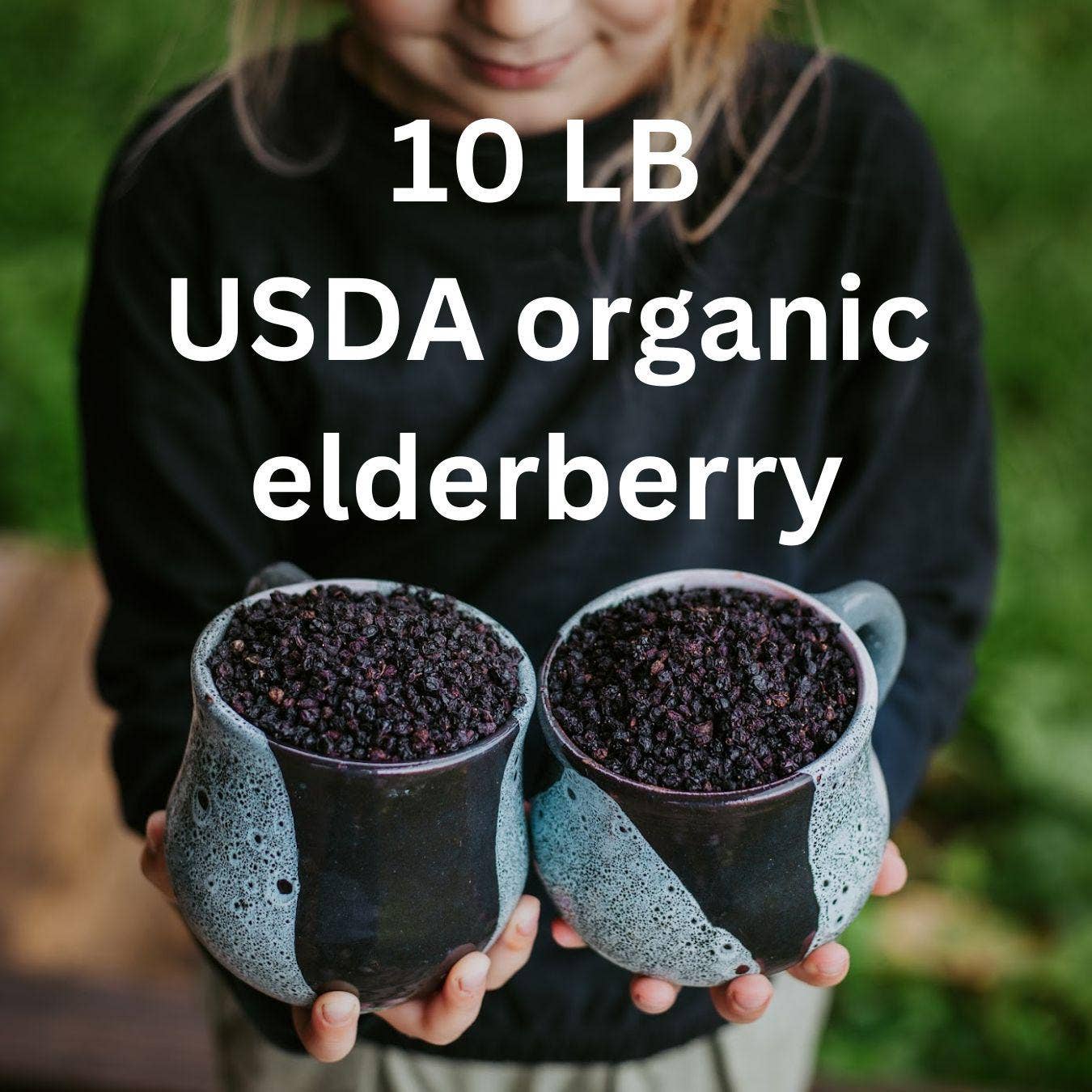 Zhivana Organics - Elderberry Dried Organic (Sambucus Nigra) - 10 LB