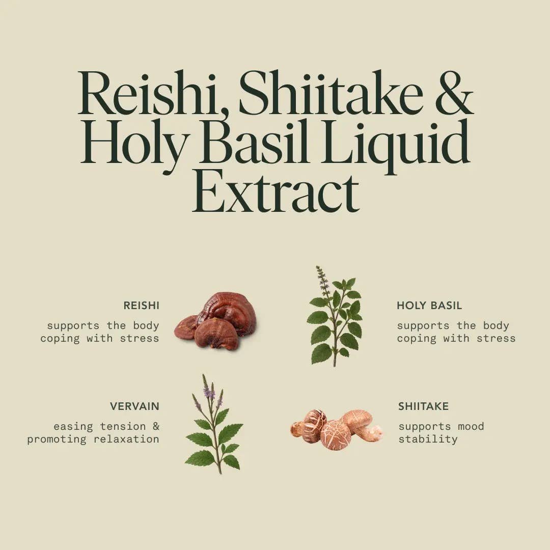 Fantastic Fungi - Organic Chill Elixir for Calm & Nervous System Support