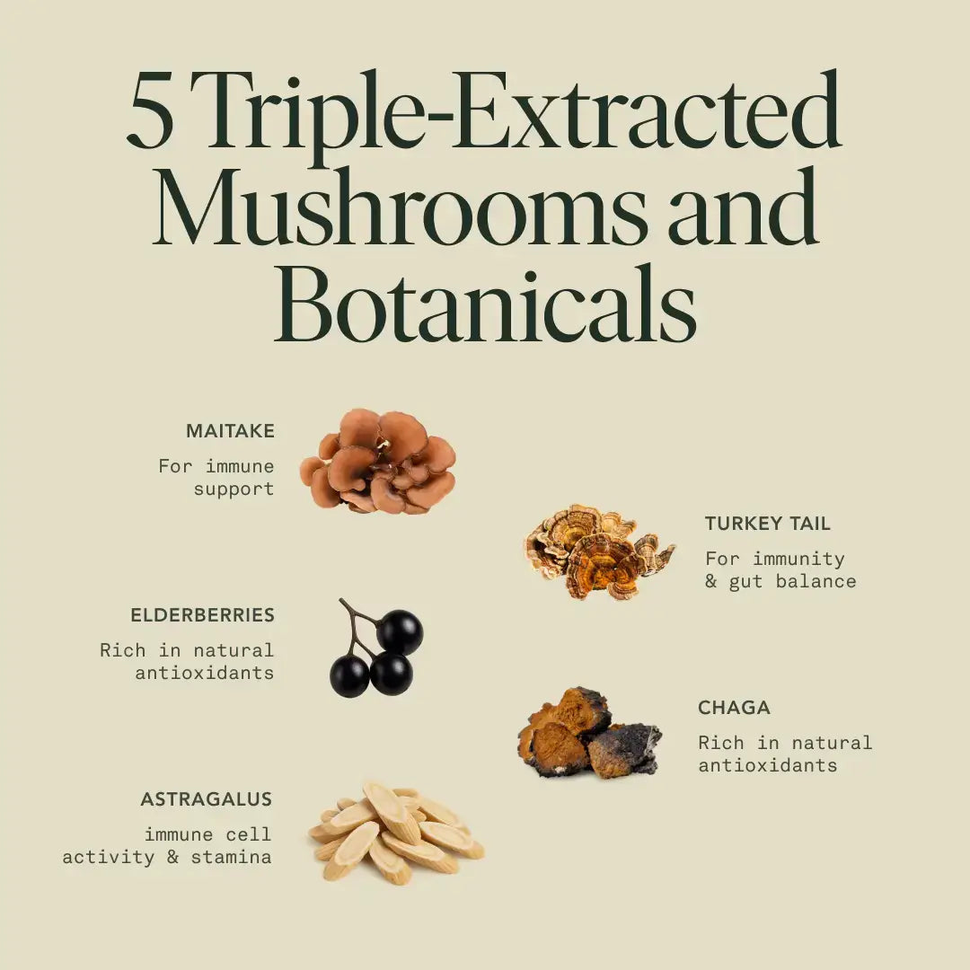 Fantastic Fungi - Organic Immunity Elixir for Inner Defense & Immune Balance