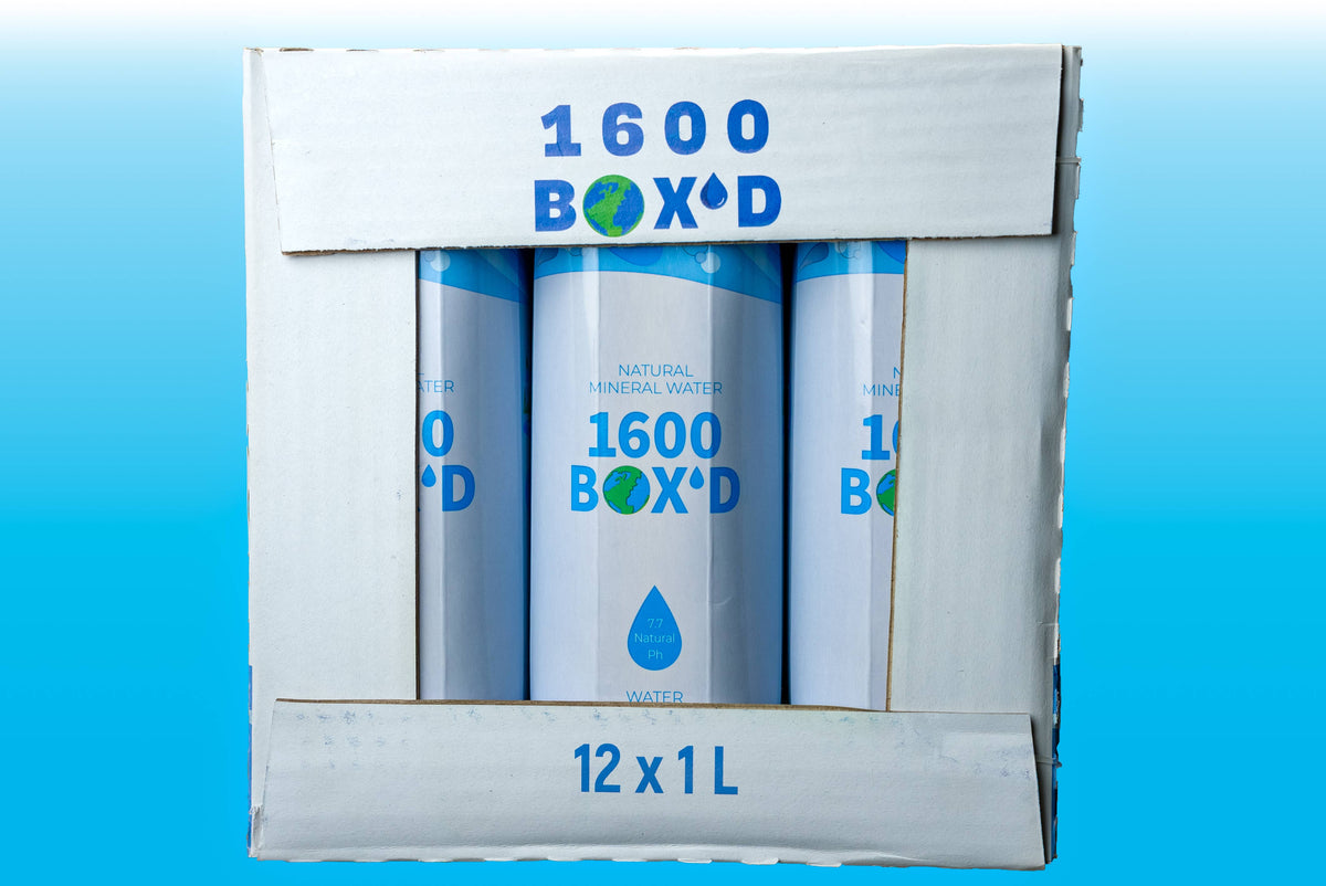 1600 BOX'D - 1600 BOX'D Natural Mountain Spring Water — 1L (12 Pack)