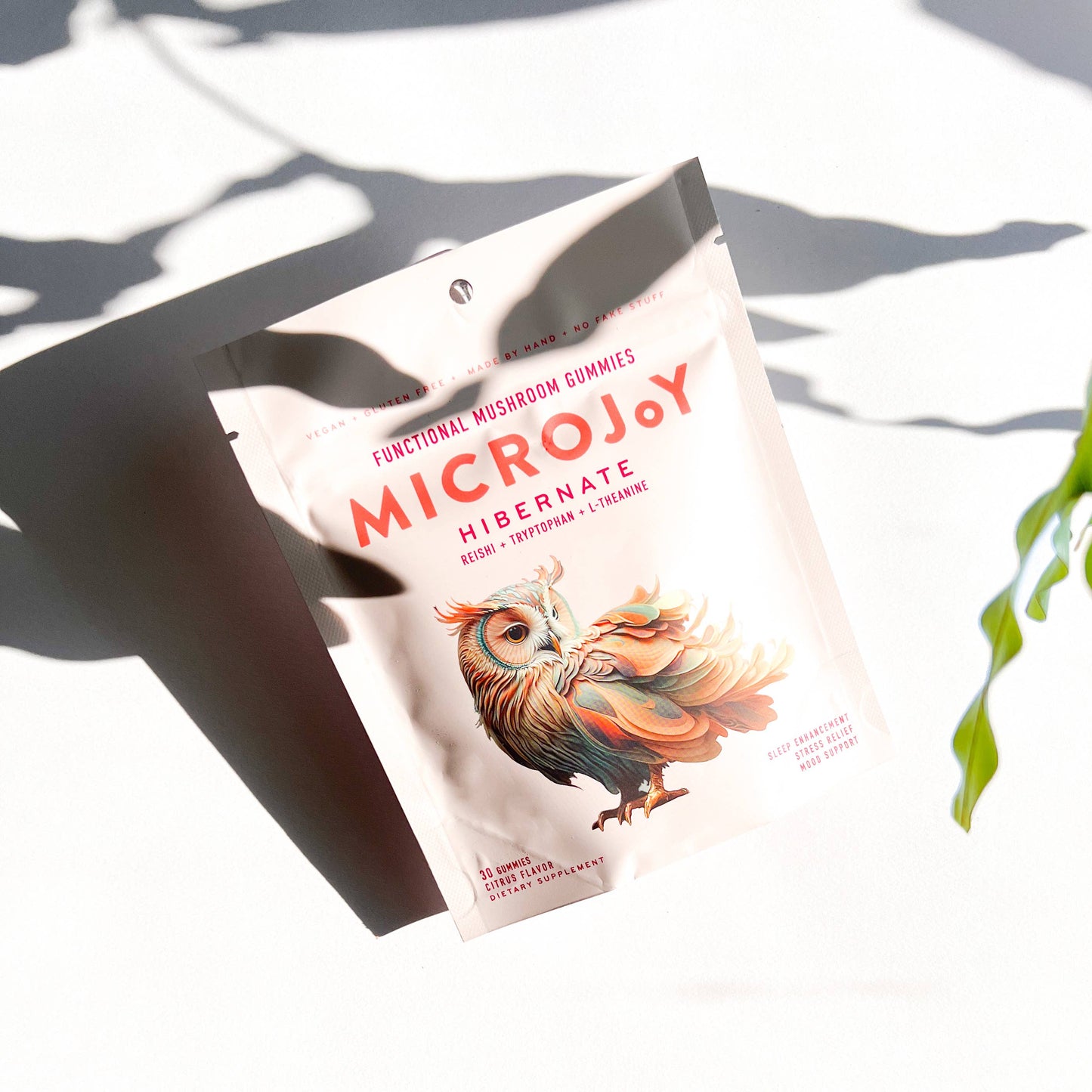 Microjoy - Hibernate Mushroom Gummies (30) / Vegan Supplement / Sleep