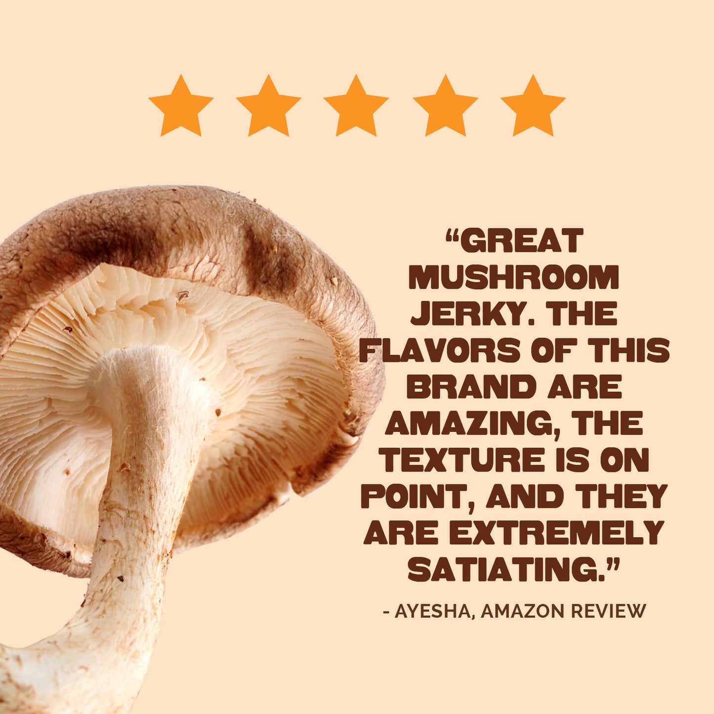Pan's Mushroom Jerky - Pan's Mushroom Jerky - 2.2oz Curry