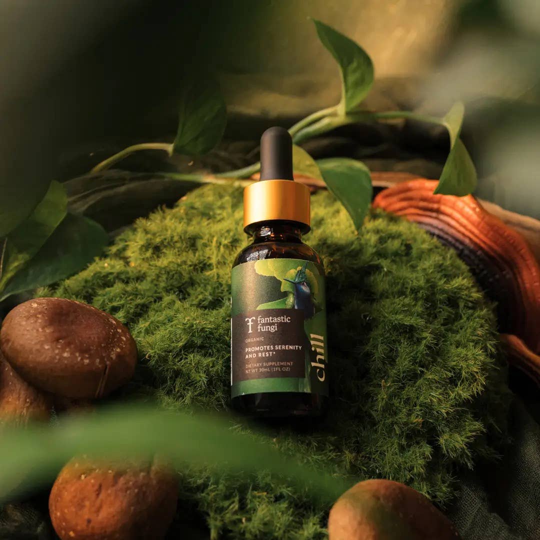 Fantastic Fungi - Organic Chill Elixir for Calm & Nervous System Support