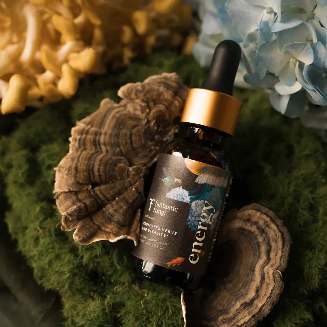 Fantastic Fungi - Organic Energy Elixir for Sustained Energy & Endurance