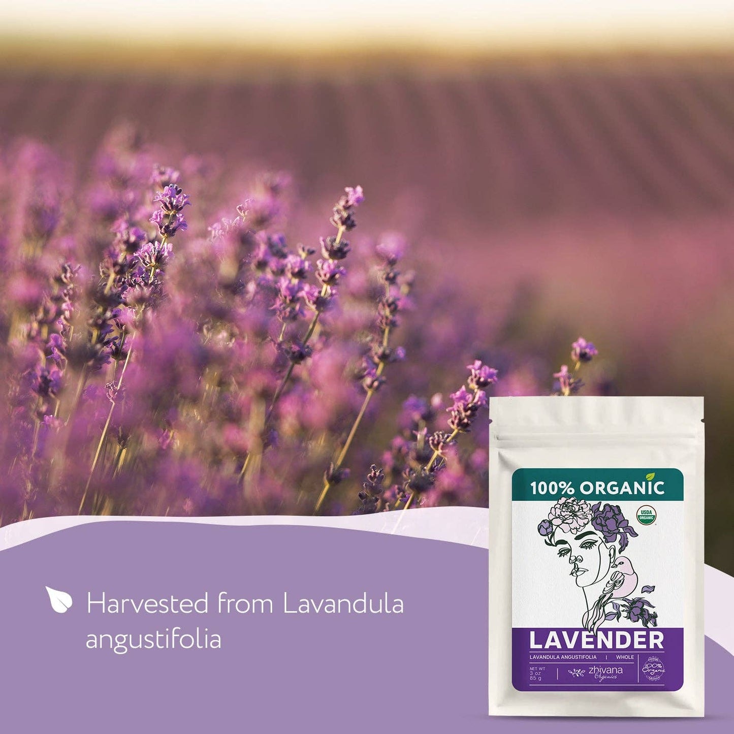Zhivana Organics - Organic Lavender Buds (Lavandula angustifolia) – 5 lb Bulk