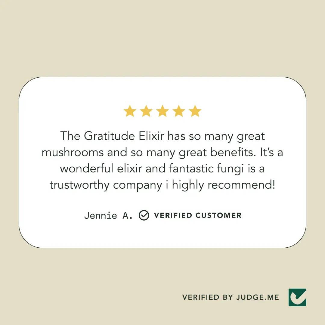 Fantastic Fungi - Organic Gratitude Elixir for Mood Support & Longevity