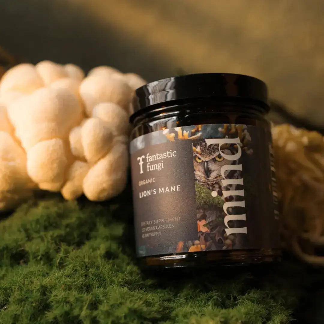 Fantastic Fungi - Organic Mind Capsules for Cognitive Support, Focus & Memory