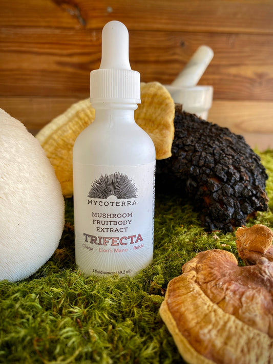 Mycoterra Farm - Organic Trifecta Blend Mushroom Tincture 2oz.