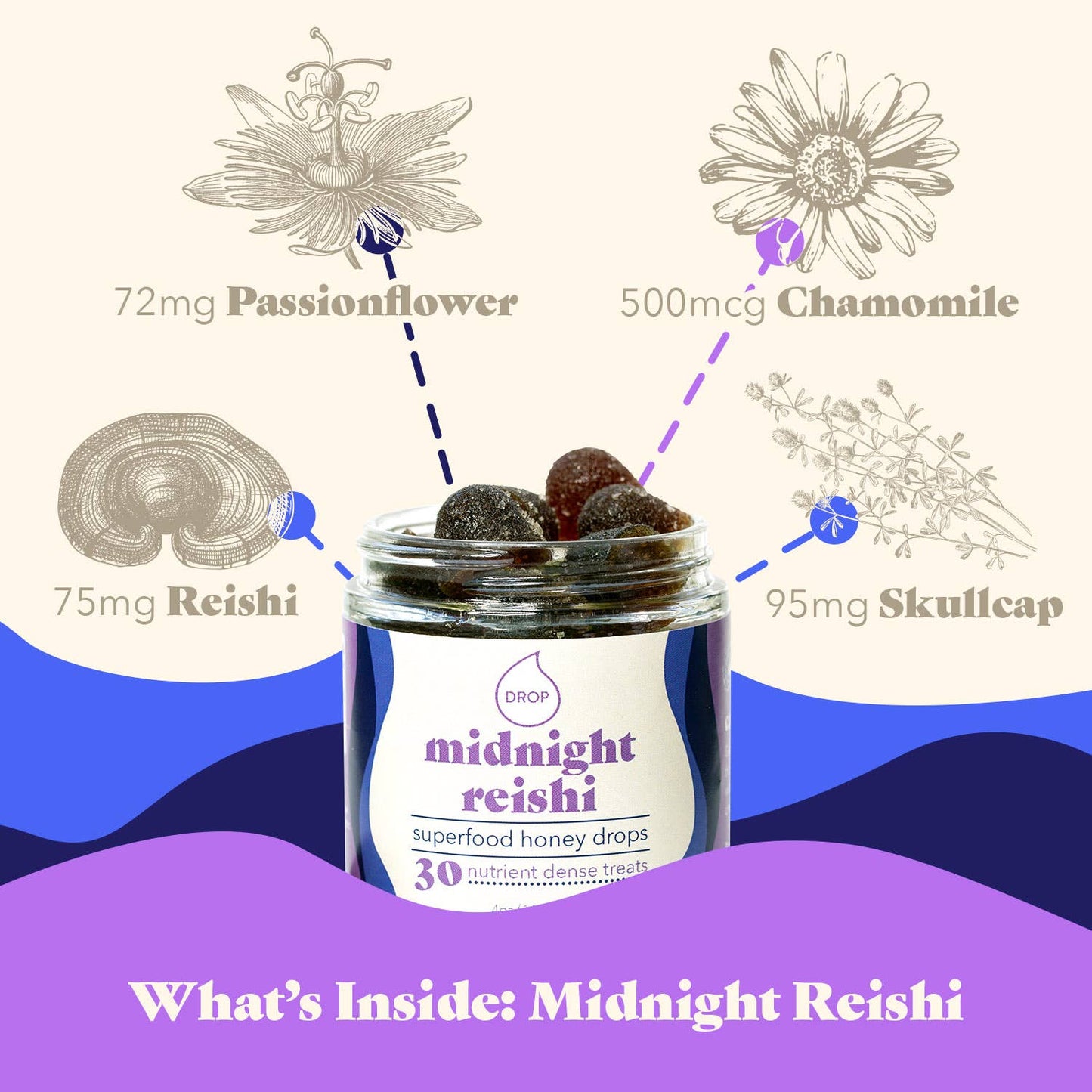 Honey Drops - Midnight Reishi | Mushroom Honey Gummy | Sleep & Relaxation