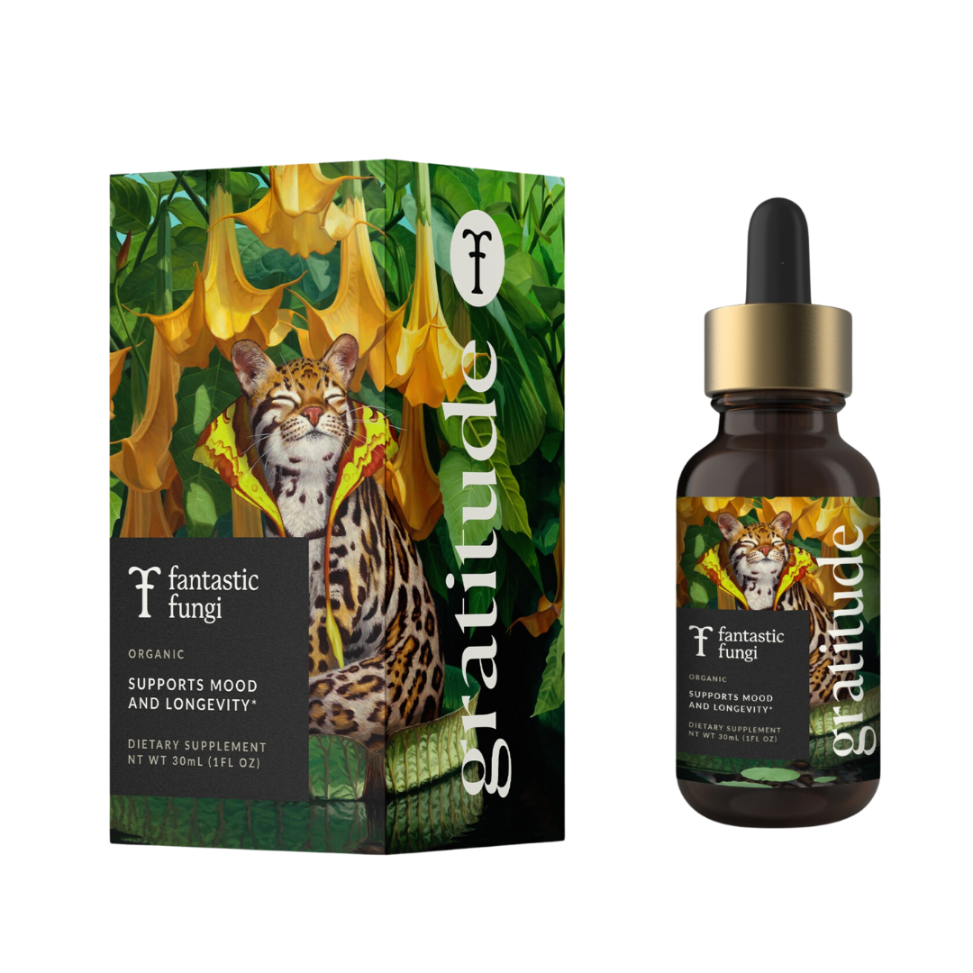 Fantastic Fungi - Organic Gratitude Elixir for Mood Support & Longevity