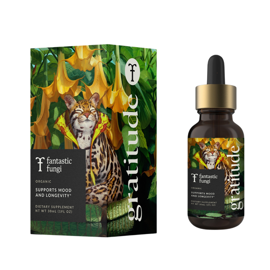 Fantastic Fungi - Organic Gratitude Elixir for Mood Support & Longevity