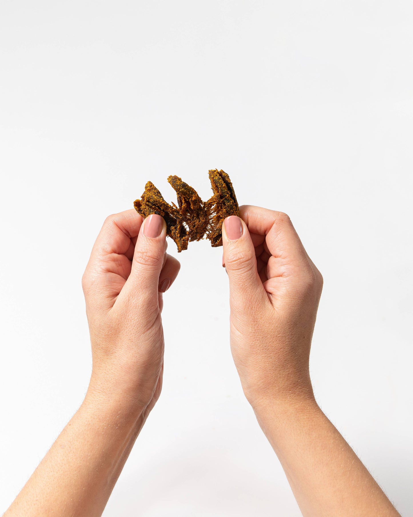 Pan's Mushroom Jerky - Pan's Mushroom Jerky - 2.2oz Curry
