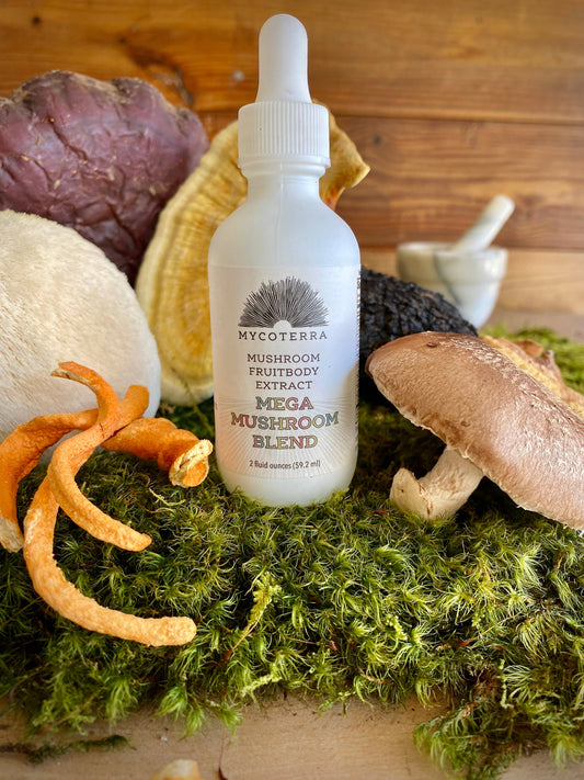 Mycoterra Farm - Organic Mega Blend Mushroom Tincture 2oz.