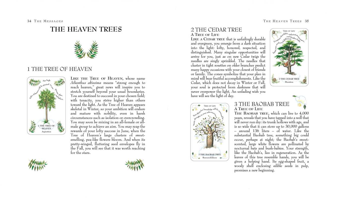 Tree Magick Oracle Deck by Gillian Kemp