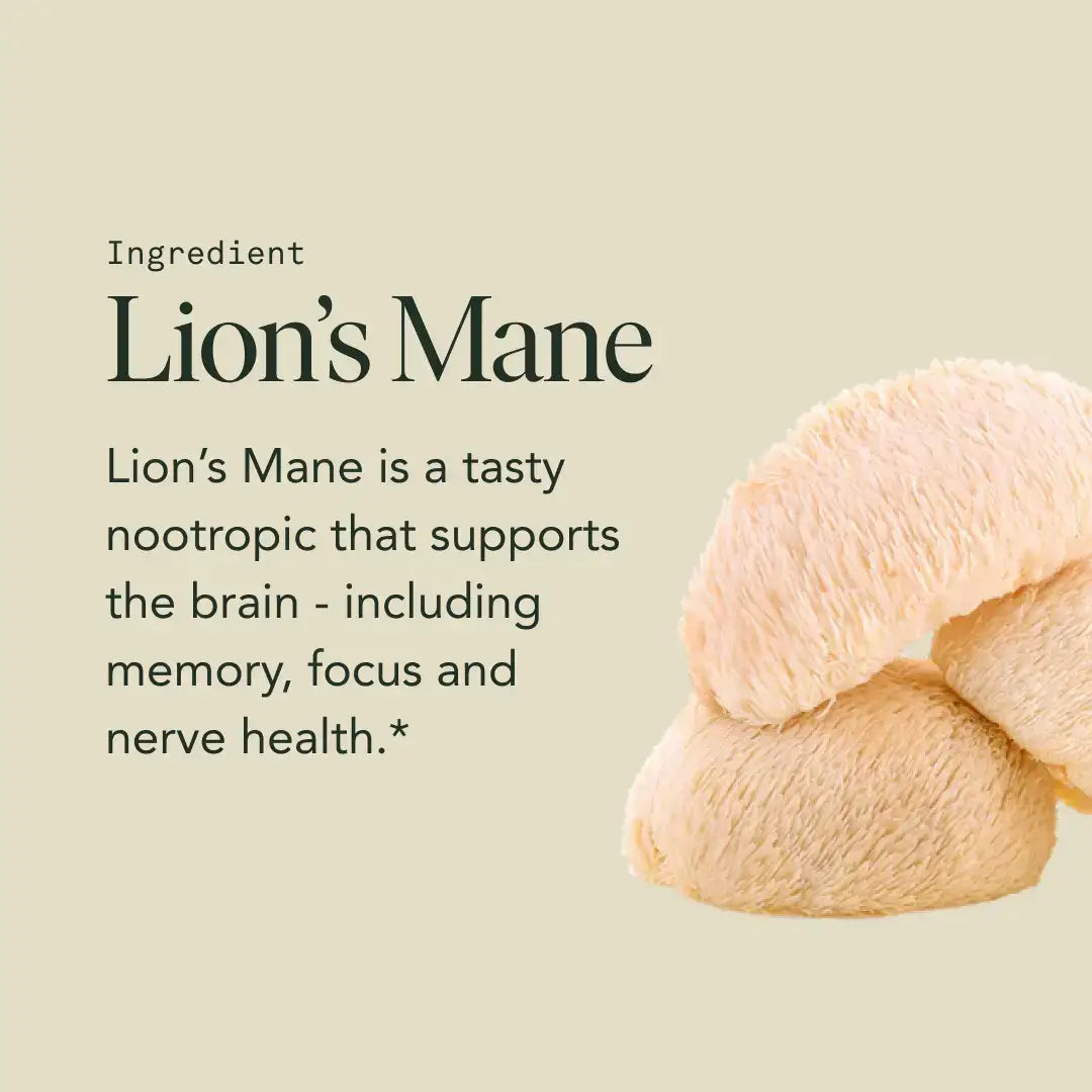 Fantastic Fungi - Organic Mind Capsules for Cognitive Support, Focus & Memory