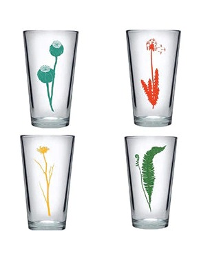 Salty Raven Fauna Pint Glass (4-Pack)