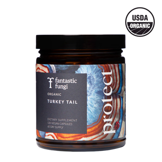 Fantastic Fungi Protect Capsules