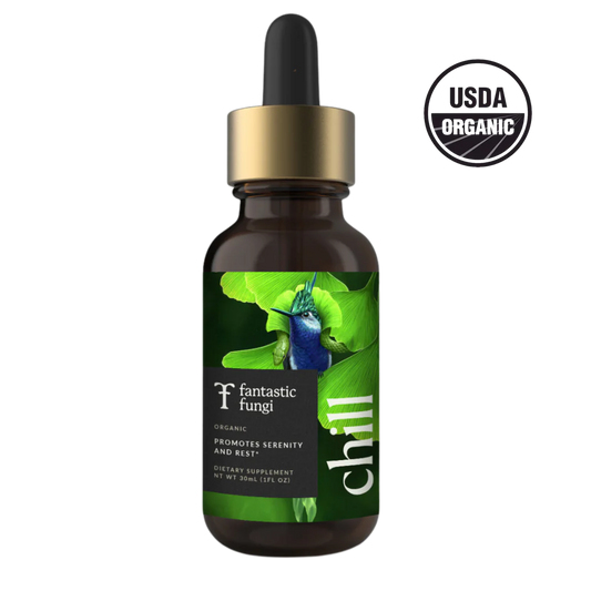 Fantastic Fungi Chill Elixir