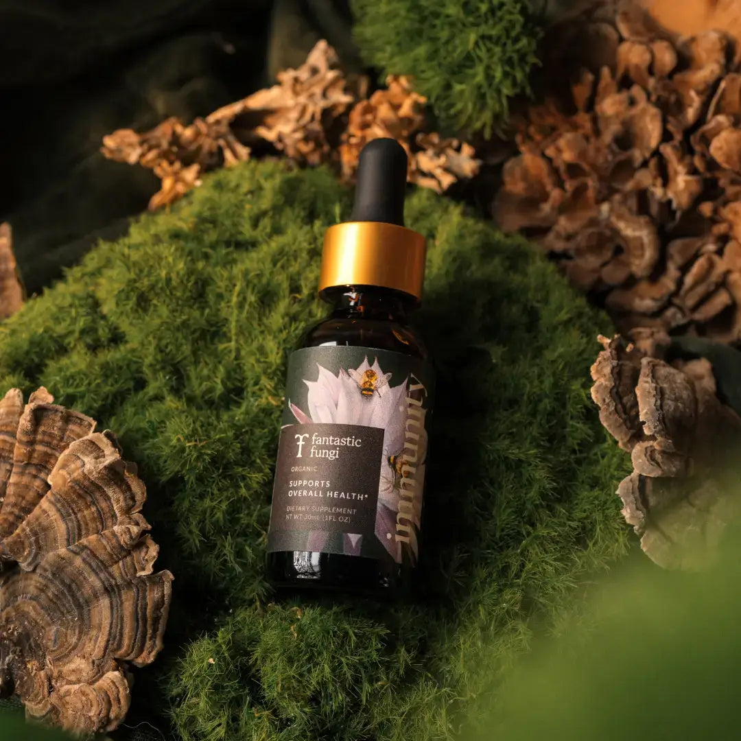 Fantastic Fungi - Organic Immunity Elixir for Inner Defense & Immune Balance