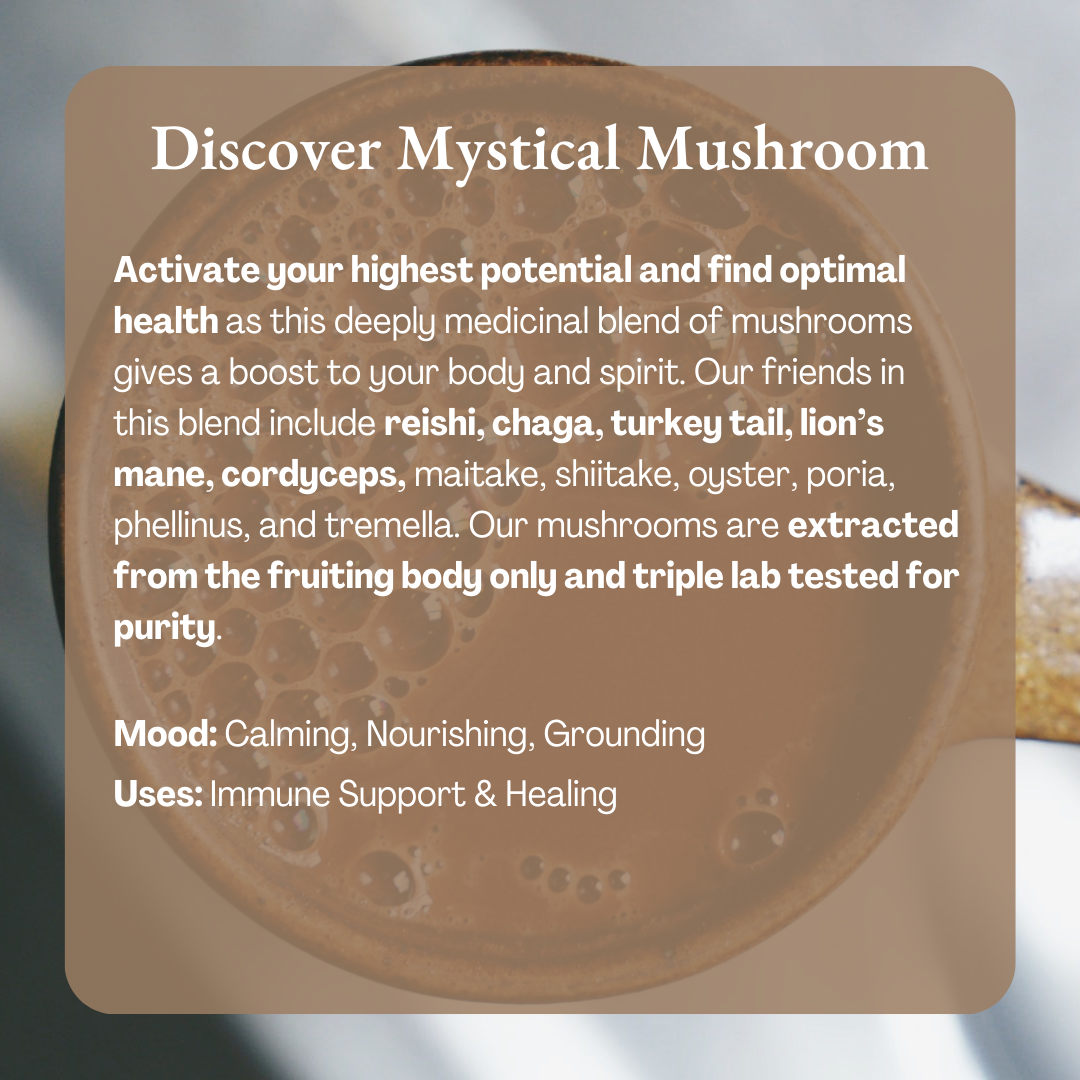 Ora Cacao - Mystical Mushroom Cacao - Organic Ceremonial Chocolate