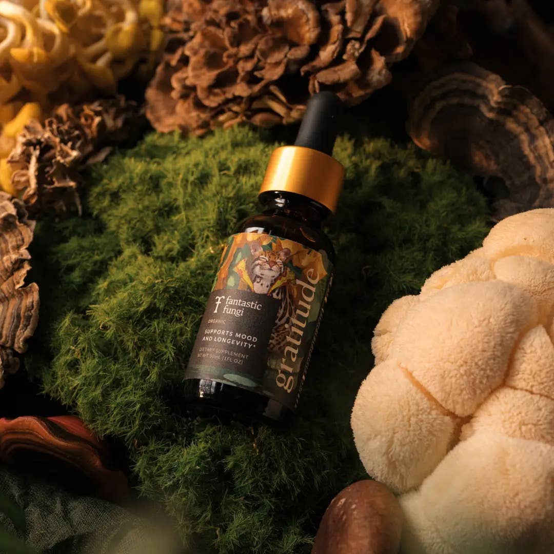 Fantastic Fungi - Organic Gratitude Elixir for Mood Support & Longevity