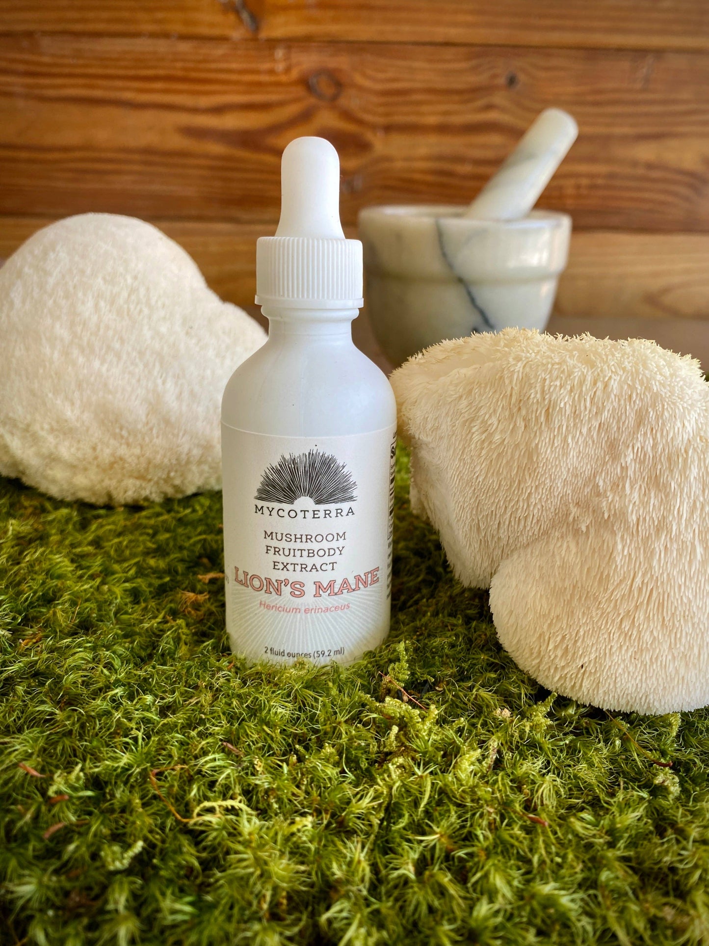 Mycoterra Farm - Organic Lion’s Mane Mushroom Tincture 2oz.