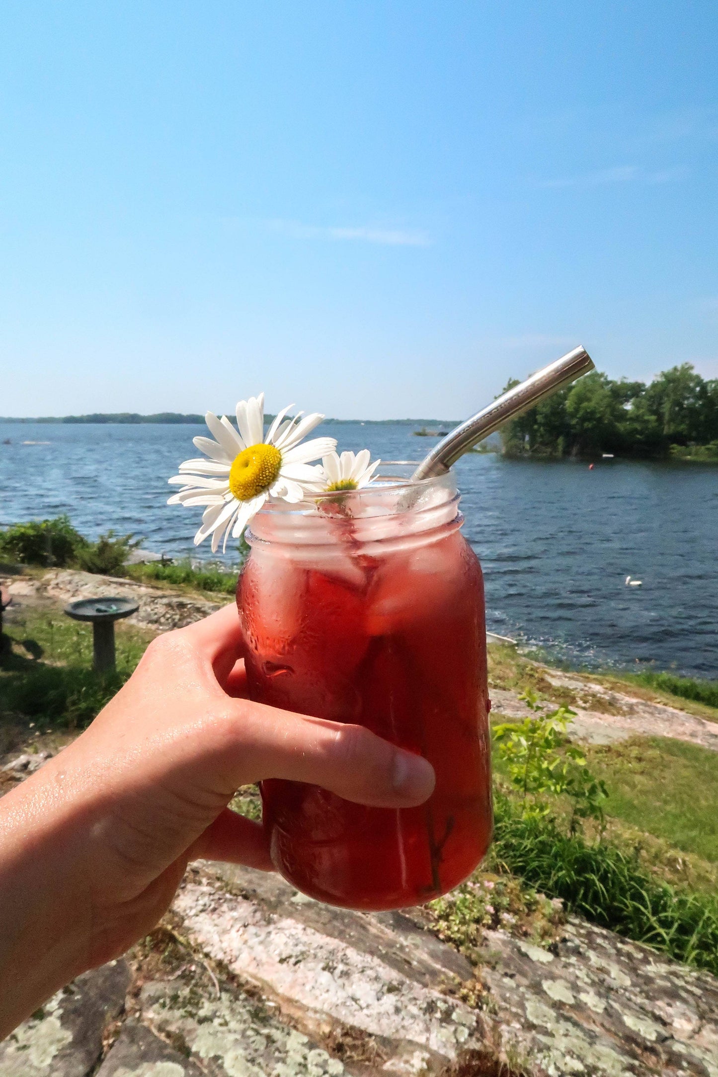 Lake & Oak Tea Co. - Rose Hibiscus Glow - Superfood Tea Blend