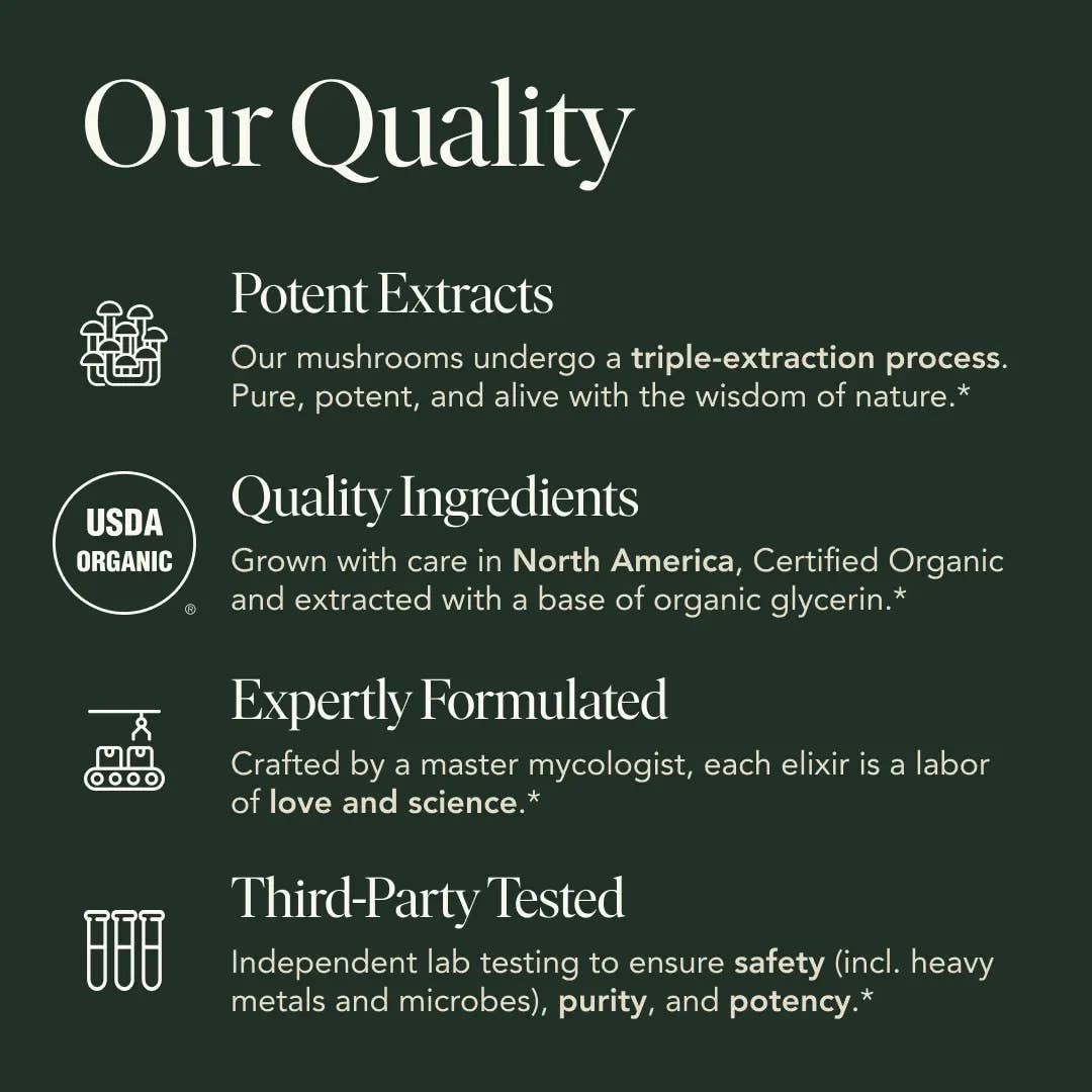 Fantastic Fungi - Organic Energy Elixir for Sustained Energy & Endurance