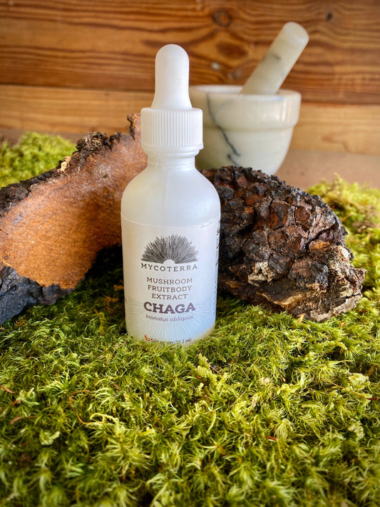 Mycoterra Farm - Organic Chaga Mushroom Tincture 2oz.