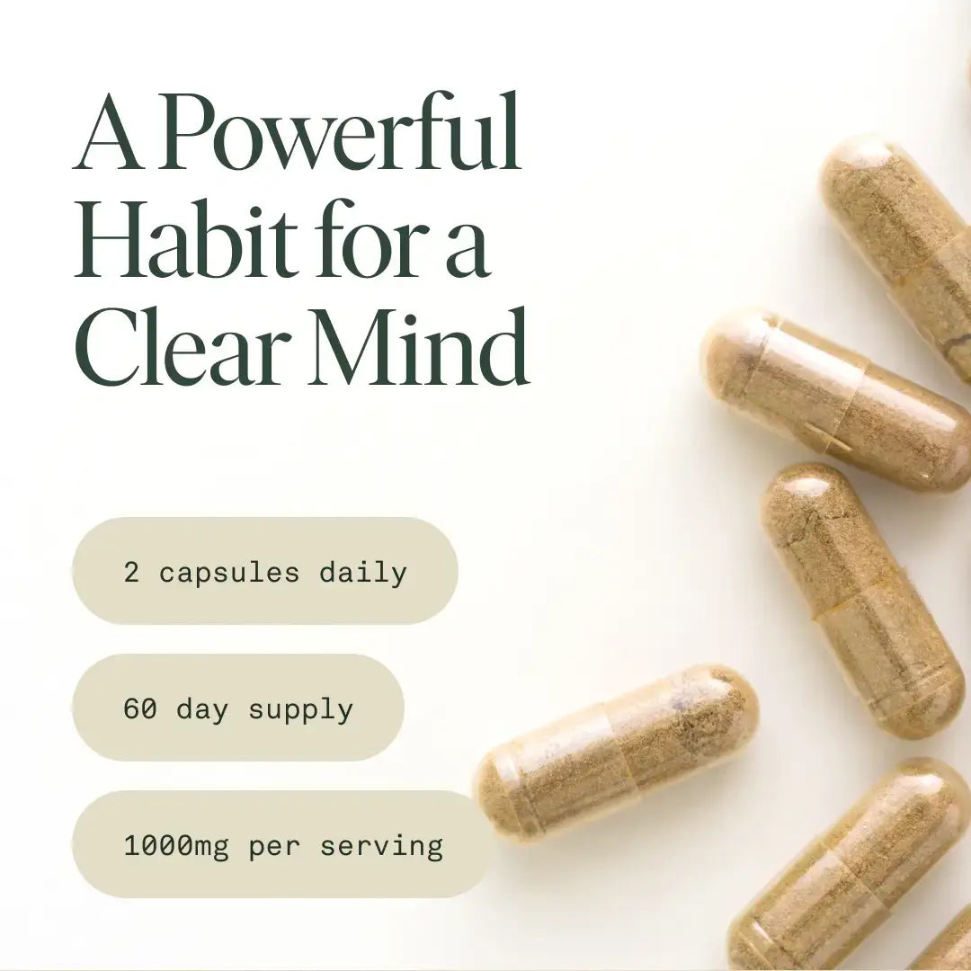 Fantastic Fungi - Organic Mind Capsules for Cognitive Support, Focus & Memory