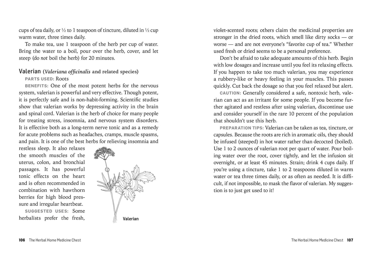 Hachette Book Group - Herbs For Stress & Anxiety