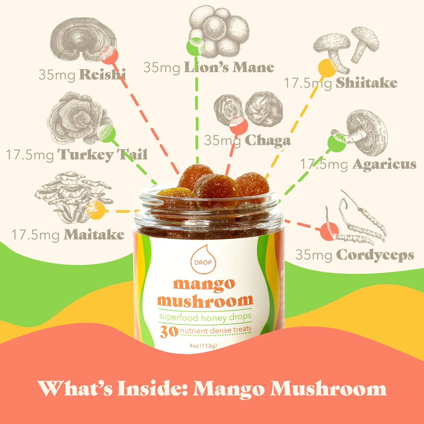 Honey Drops - Mango Mushroom | Mushroom Honey Gummy | Immune & Pain Relief